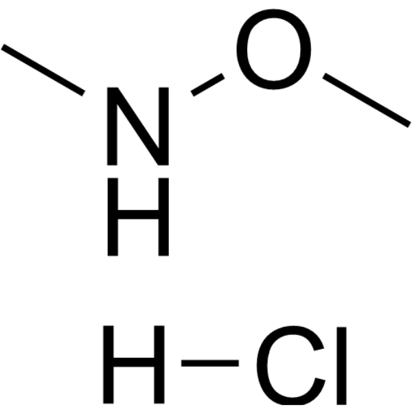 N,O-Dimethylhydroxylamine hydrochloride 6638-79-5